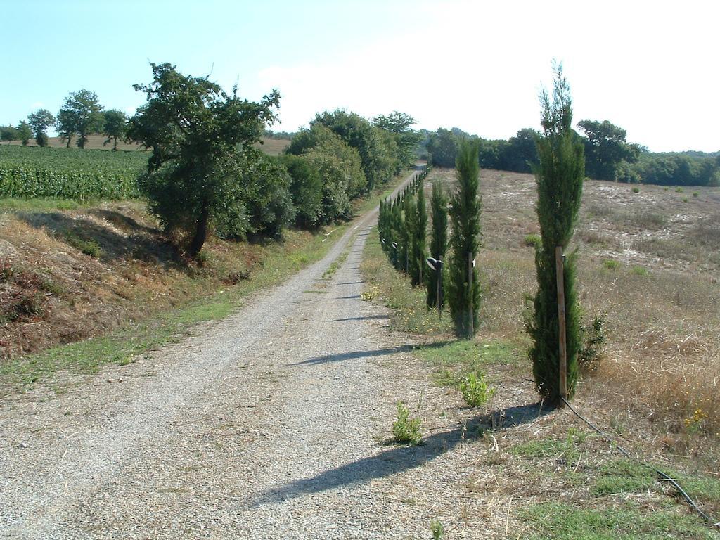 Podere Fingardella Paganico (Grosseto) Exterior photo